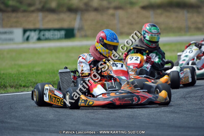 DSC_ (482).jpg